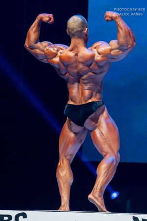 BODYBUILDING 102